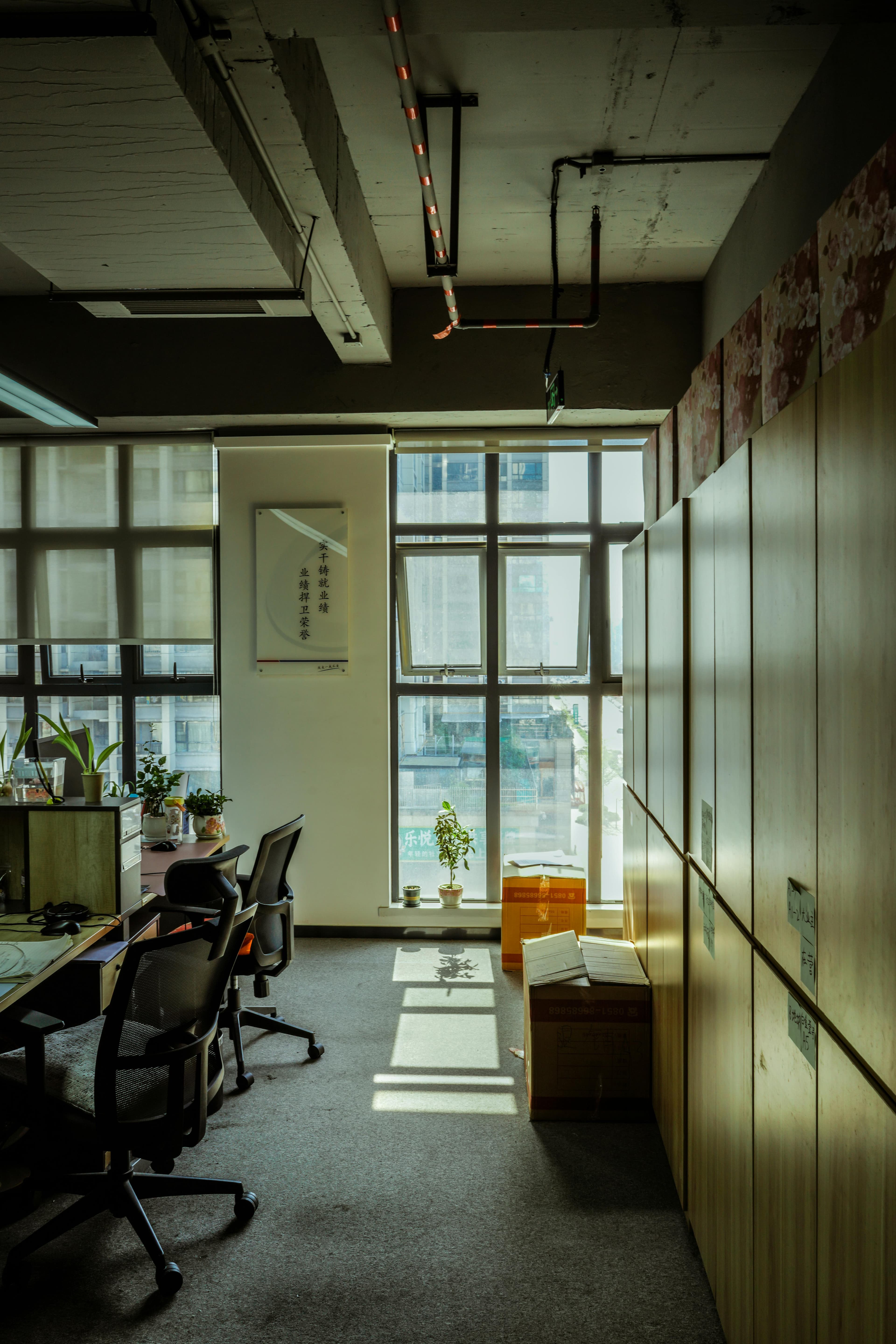 Bureau baigné de lumière en fin de journée, environnement de travail apaisé